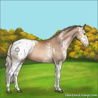 Horse Color:White Spotted Silver Brown Pearl Tobiano Appaloosa 