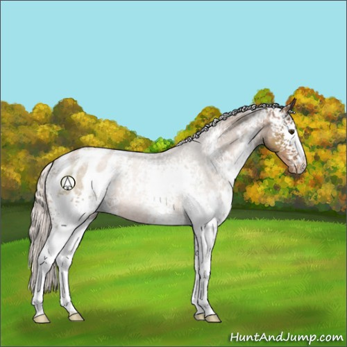 Horse Color:White Spotted Silver Black Pearl Blanket 