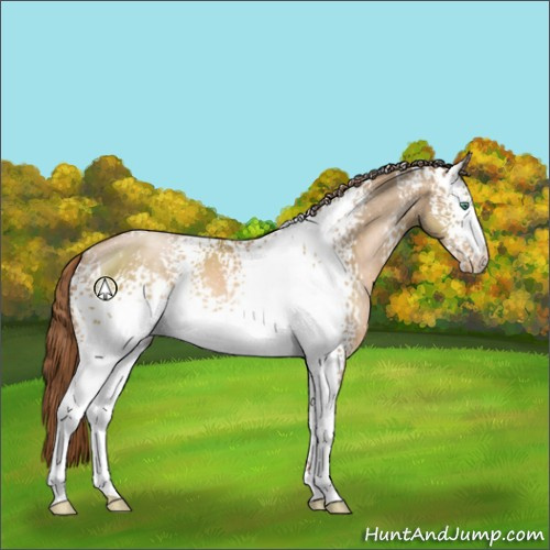 Horse Color:White Spotted Smoky Black Pearl Appaloosa 