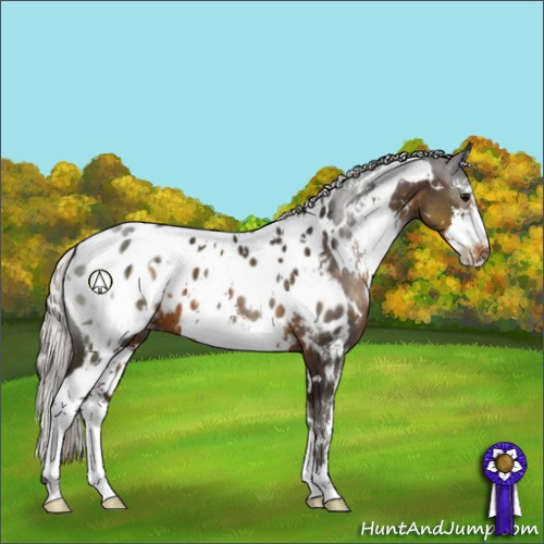 Horse Color:White Spotted Silver Smoky Black Sabino Appaloosa 