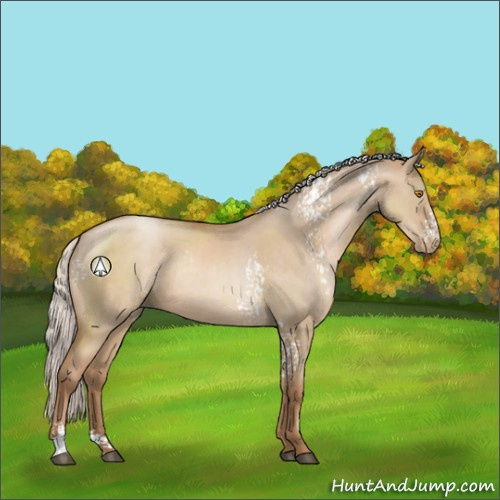 Horse Color:White Spotted Silver Grullo Pearl Sabino Rabicano 