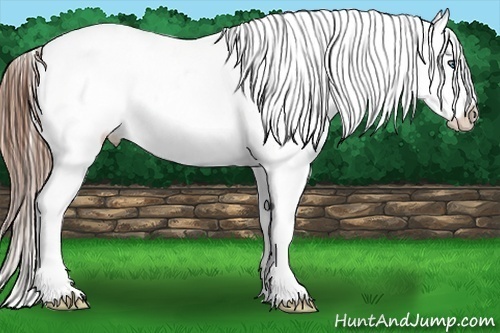 Horse Color:Red Roan Sabino Splash Appaloosa 