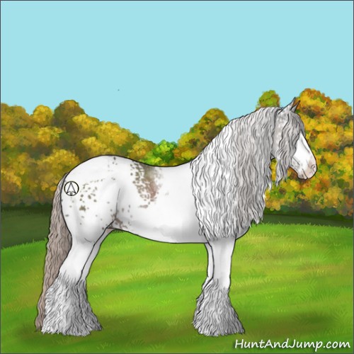 Horse Color:White Spotted Silver Black Tobiano Rabicano 