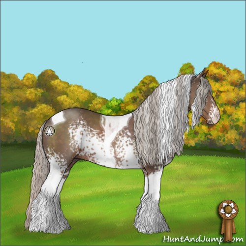 Horse Color:White Spotted Silver Black Tobiano Rabicano 