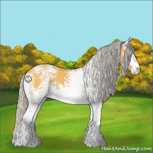 Horse Color:White Spotted Silver Buckskin Sabino 