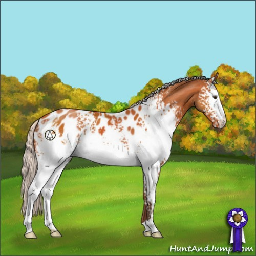 Horse Color:White Spotted Silver Bay Appaloosa 