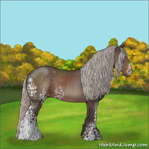 Horse Color:White Spotted Silver Black 
