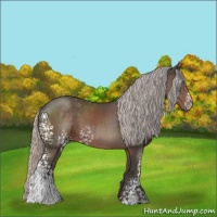 Horse Color:White Spotted Silver Black 