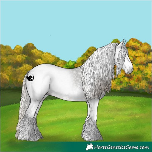 Horse Color:Gray White Spotted Silver Smoky Black 