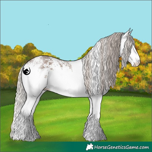 Horse Color:White Spotted Silver Black Rabicano 