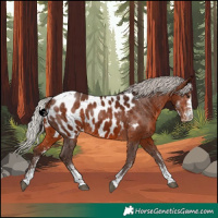 Horse Color:White Spotted Silver Brown Tobiano Near Leopard Rabicano 