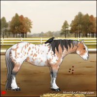 Horse Color:White Spotted Bay Roan Blanket 