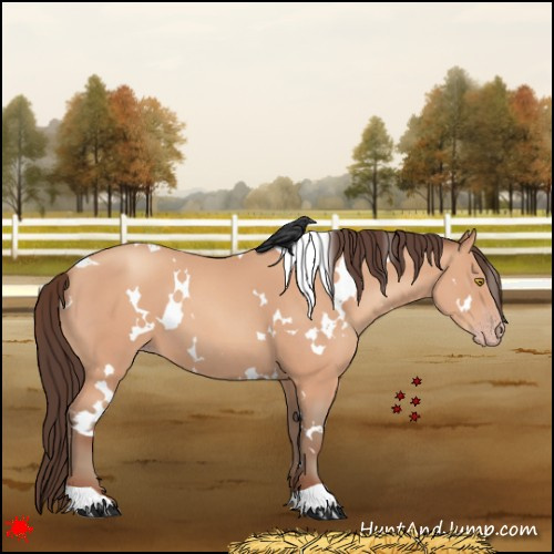 Horse Color:White Spotted Amber Champagne 