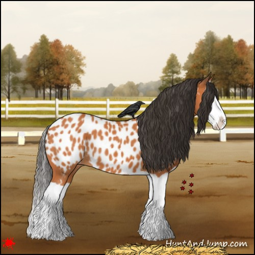 Horse Color:Bay Splash Near Leopard