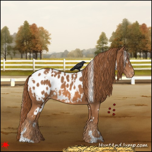 Horse Color:White Spotted Chestnut Appaloosa