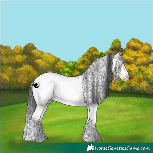 Horse Color:White Spotted Grullo Splash