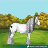 Horse Color:White Spotted Grullo Splash 