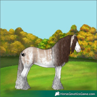 Horse Color:White Spotted Classic Champagne Dun Splash 