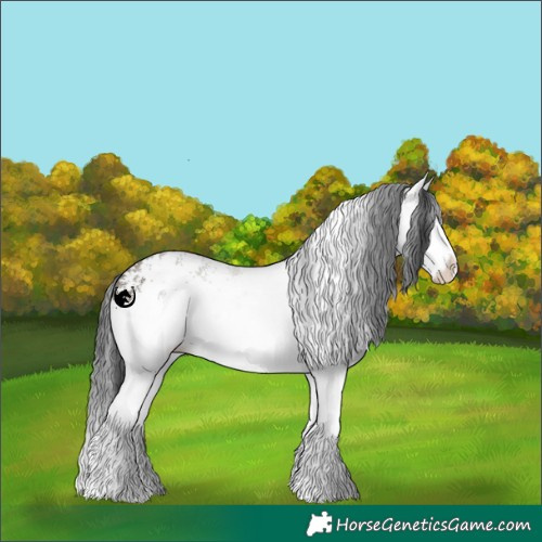 Horse Color:White Spotted Grullo Splash 