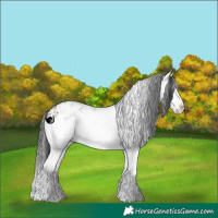 Horse Color:White Spotted Grullo Splash 
