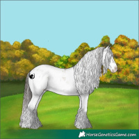 Horse Color:White Spotted Classic Champagne Sabino 