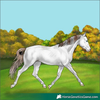 Horse Color:White Spotted Sable Champagne Pearl Dun