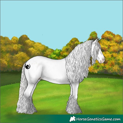 Horse Color:White Spotted Silver Classic Champagne Dun Sabino Splash 