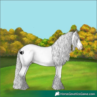 Horse Color:White Spotted Silver Classic Champagne Dun Sabino Splash 