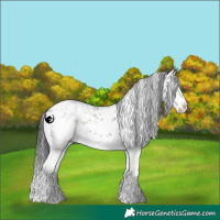 Horse Color:White Spotted Brown Dun Sabino Splash 