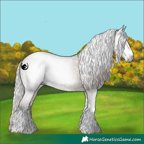 Horse Color:Gray White Spotted Silver Grullo Tobiano 