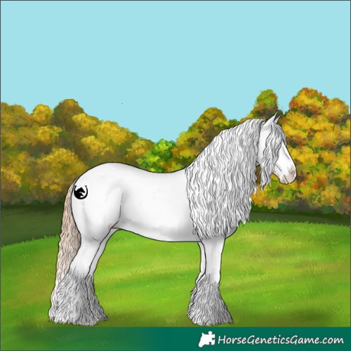 Horse Color:White Spotted Classic Cream Champagne Pearl Dun Sabino Blanket