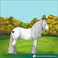 Horse Color:White Spotted Classic Cream Champagne Pearl Dun Sabino Blanket 