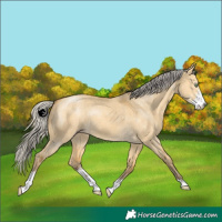 Horse Color:Silver Sable Cream Champagne Dun Sabino 