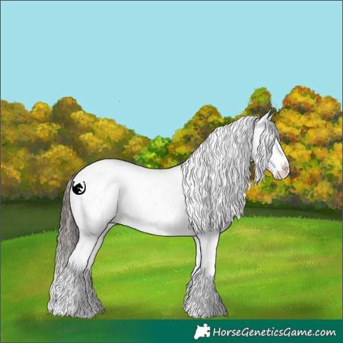 Horse Color:White Spotted Classic Champagne Dun Sabino Splash 