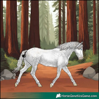 Horse Color:White Spotted Silver Classic Champagne Pearl Dun