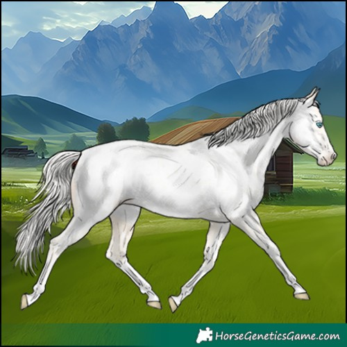 Horse Color:White Spotted Silver Buckskin Pearl Tobiano Near Leopard 