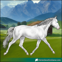 Horse Color:White Spotted Silver Buckskin Pearl Tobiano Appaloosa 