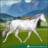 Horse Color:White Spotted Silver Buckskin Pearl Tobiano Near Leopard 