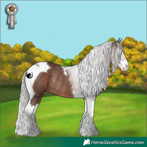 Horse Color:Silver Black Splash Tobiano Rabicano 