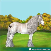 Horse Color:White Spotted Silver Grullo Pearl