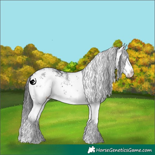 Horse Color:White Spotted Black Sabino Splash 