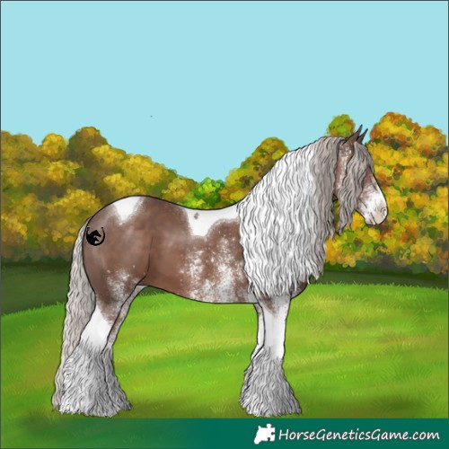 Horse Color:White Spotted Silver Black Tobiano 