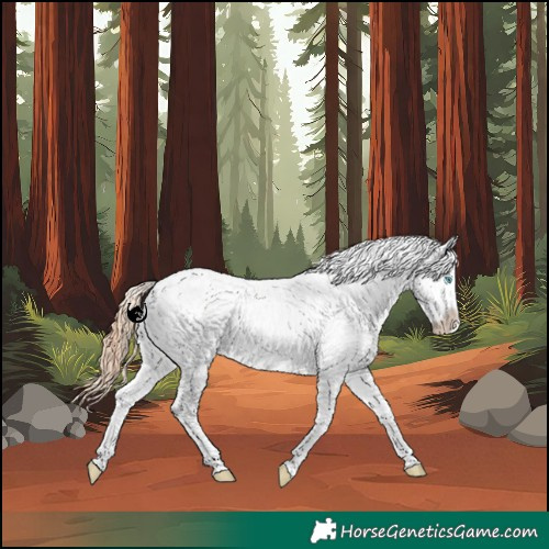 Horse Color:White Spotted Sable Cream Champagne Pearl Sabino Near Leopard