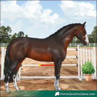 Horse Color:Brown 