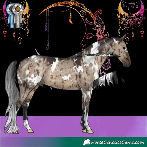 Horse Color:White Spotted Brown Dun Brindle 