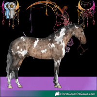 Horse Color:White Spotted Brown Dun Brindle