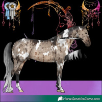 Horse Color:White Spotted Brown Dun Brindle 
