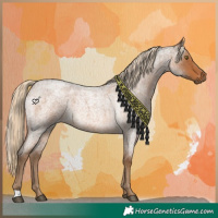Horse Color:Chocolate Palomino Roan 