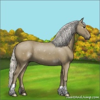 Horse Color:Silver Smoky Black 