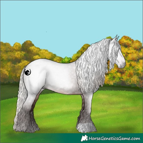 Horse Color:Gray Silver Black 